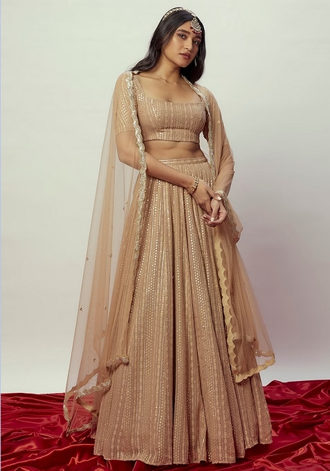 Brown Sequin Embroidered Georgette Lehenga Set